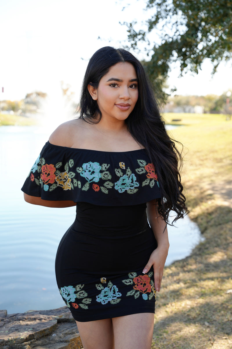 Mezcal Mini Dress L Mezcal Mini Dress L
